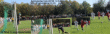 thm_SVS - Johannesberg 14.10.07 04.gif